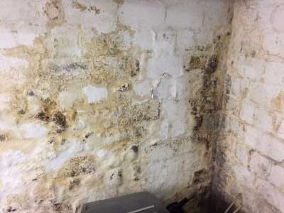 Flächig beschädigter Putz an einer Kellerwand
